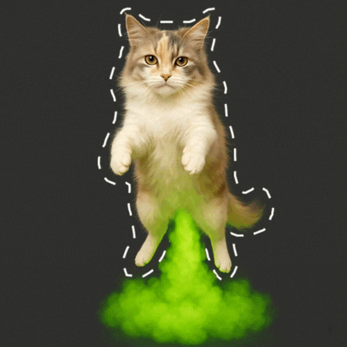 FAMO Cat