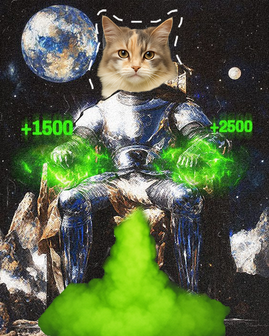 Risk taker cat